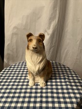 Collie, Hund, Lassie grosses