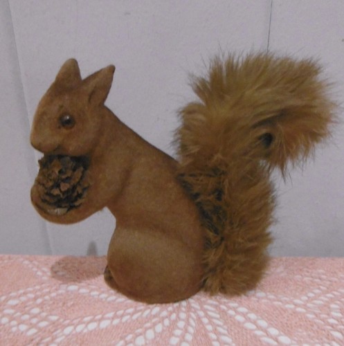 Max carl eichhörnchen monkey - eichhörnchen,
