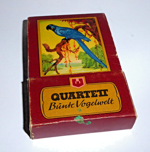 Quartett bunte vogelwelt - -,