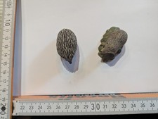 Schleich Figuren Igel Vintage 